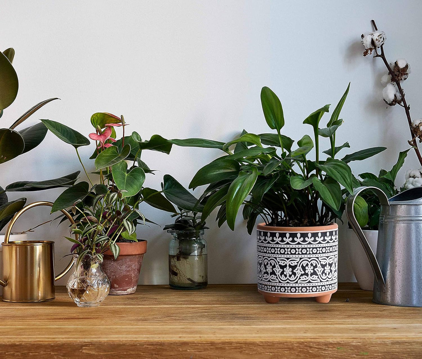 Set of 2 Terracotta Planter Pots, 4 Inch & 6 Inch, Design Plants Pot with Drainage Hole, Midnight Lace, Terracotta/Black, 31-953-F-2