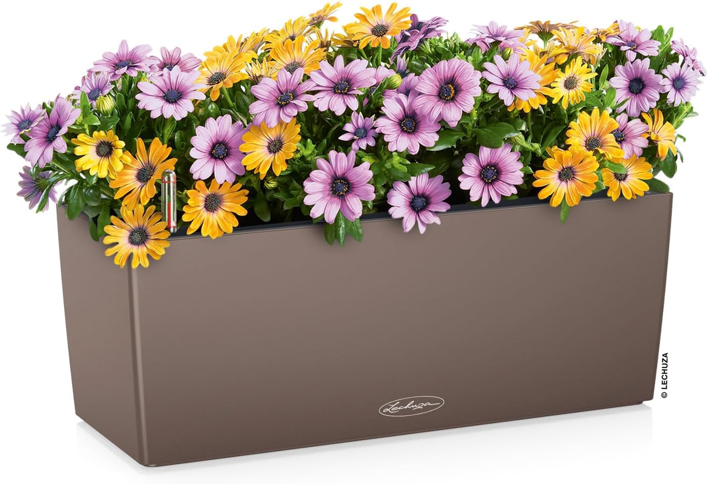 Balconera Color 50 All-In-One (Matte Smooth) Planter, Nutmeg